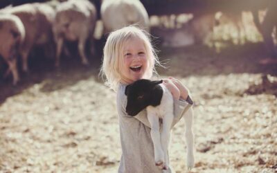 The Meaning of the 23rd Psalm