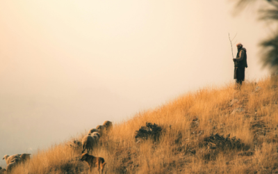 Torah Portion – Vayislach (Sent) Genesis 32:3-36:43