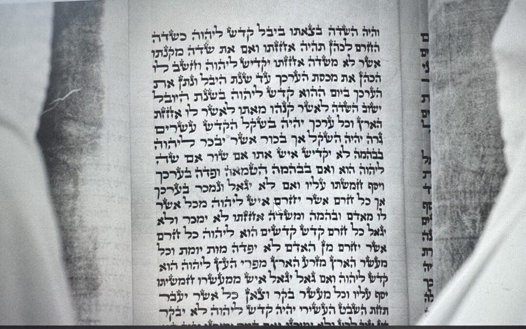 What is a Parashah?