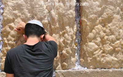 What’s New January 2026