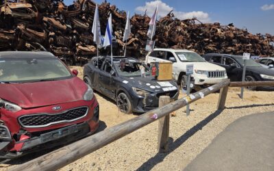 My Experience on the Solidarity Tour, May 2026