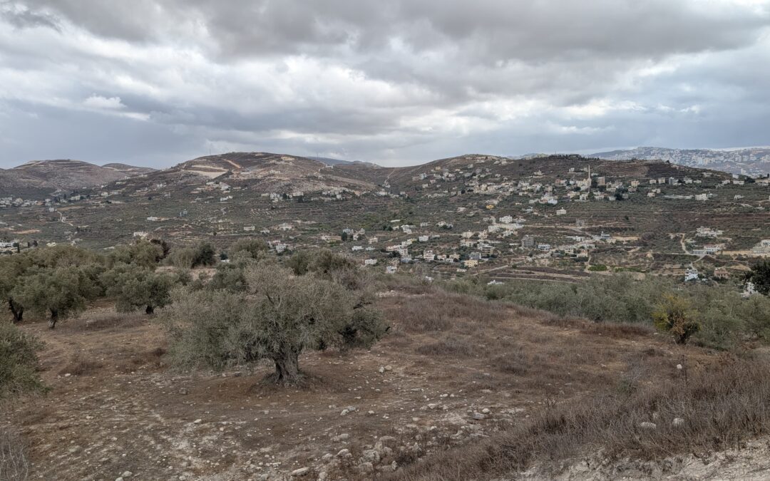 Parashah May 9, 2026 “Behar – Behukotai”: Leviticus 25:1  –  27:34