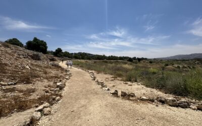 JUNE 27, 2026 PARASHAH COMMENTARY BALAK Numbers 22:2 – 25:9