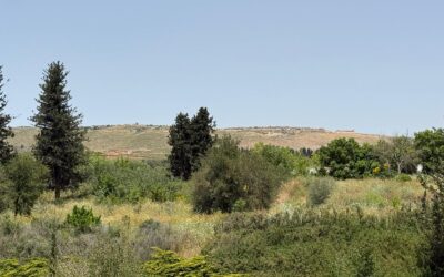 Study of What the Scriptures say about the People and Land of Israel: God confirms His “everlasting” Covenant with Abraham and describes the boundaries of the land.