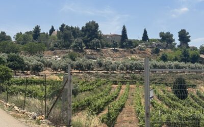 God chose Israel as His own possession out of all the peoples on earth. When Israel obeys the Lord, their enemies will flee before them seven ways, God will bless the land He gives them, and all the earth will see they are called by God.